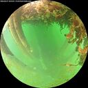 ./images/calvert/underwater/20260627/underwater20260627_105501M.jpg