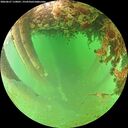 ./images/calvert/underwater/20260627/underwater20260627_110001M.jpg
