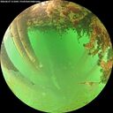 ./images/calvert/underwater/20260627/underwater20260627_111001M.jpg