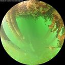 ./images/calvert/underwater/20260627/underwater20260627_111501M.jpg