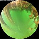 ./images/calvert/underwater/20260627/underwater20260627_112002M.jpg