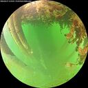 ./images/calvert/underwater/20260627/underwater20260627_112501M.jpg