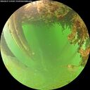 ./images/calvert/underwater/20260627/underwater20260627_113501M.jpg