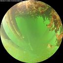 ./images/calvert/underwater/20260627/underwater20260627_114002M.jpg