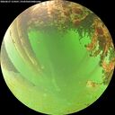./images/calvert/underwater/20260627/underwater20260627_114501M.jpg