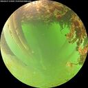 ./images/calvert/underwater/20260627/underwater20260627_115002M.jpg