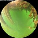 ./images/calvert/underwater/20260627/underwater20260627_115501M.jpg