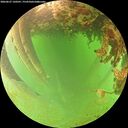 ./images/calvert/underwater/20260627/underwater20260627_120501M.jpg