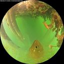 ./images/calvert/underwater/20260627/underwater20260627_121001M.jpg