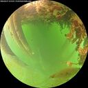 ./images/calvert/underwater/20260627/underwater20260627_121501M.jpg