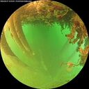 ./images/calvert/underwater/20260627/underwater20260627_122501M.jpg
