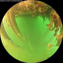 ./images/calvert/underwater/20260627/underwater20260627_123501M.jpg