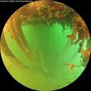 ./images/calvert/underwater/20260627/underwater20260627_124001M.jpg