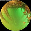 ./images/calvert/underwater/20260627/underwater20260627_124502M.jpg