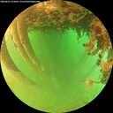 ./images/calvert/underwater/20260627/underwater20260627_125001M.jpg