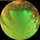 ./images/calvert/underwater/20260627/underwater20260627_130001M.jpg