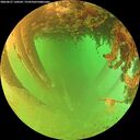 ./images/calvert/underwater/20260627/underwater20260627_130501M.jpg