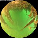./images/calvert/underwater/20260627/underwater20260627_131001M.jpg