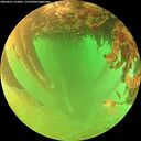 ./images/calvert/underwater/20260627/underwater20260627_132001M.jpg
