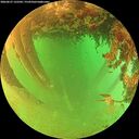 ./images/calvert/underwater/20260627/underwater20260627_132502M.jpg