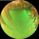 ./images/calvert/underwater/20260627/underwater20260627_133002M.jpg