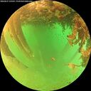 ./images/calvert/underwater/20260627/underwater20260627_133501M.jpg