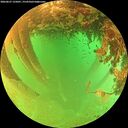 ./images/calvert/underwater/20260627/underwater20260627_135001M.jpg