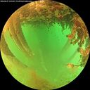 ./images/calvert/underwater/20260627/underwater20260627_135501M.jpg