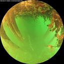 ./images/calvert/underwater/20260627/underwater20260627_140001M.jpg