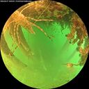 ./images/calvert/underwater/20260627/underwater20260627_140501M.jpg