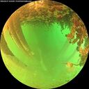 ./images/calvert/underwater/20260627/underwater20260627_141001M.jpg