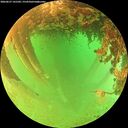 ./images/calvert/underwater/20260627/underwater20260627_141502M.jpg