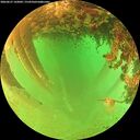 ./images/calvert/underwater/20260627/underwater20260627_142001M.jpg