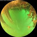 ./images/calvert/underwater/20260627/underwater20260627_142501M.jpg