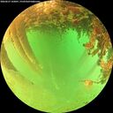 ./images/calvert/underwater/20260627/underwater20260627_143001M.jpg