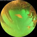 ./images/calvert/underwater/20260627/underwater20260627_143501M.jpg
