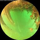 ./images/calvert/underwater/20260627/underwater20260627_144001M.jpg