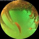 ./images/calvert/underwater/20260627/underwater20260627_145501M.jpg