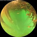 ./images/calvert/underwater/20260627/underwater20260627_152501M.jpg