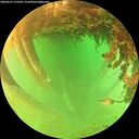 ./images/calvert/underwater/20260627/underwater20260627_153501M.jpg