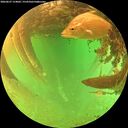 ./images/calvert/underwater/20260627/underwater20260627_154001M.jpg