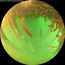 ./images/calvert/underwater/20260627/underwater20260627_155002M.jpg
