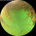 ./images/calvert/underwater/20260627/underwater20260627_160501M.jpg