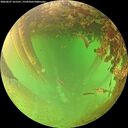 ./images/calvert/underwater/20260627/underwater20260627_161501M.jpg