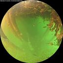 ./images/calvert/underwater/20260627/underwater20260627_162501M.jpg