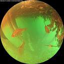 ./images/calvert/underwater/20260627/underwater20260627_163002M.jpg