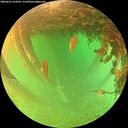 ./images/calvert/underwater/20260627/underwater20260627_163501M.jpg
