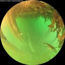 ./images/calvert/underwater/20260627/underwater20260627_172001M.jpg