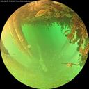 ./images/calvert/underwater/20260627/underwater20260627_172502M.jpg