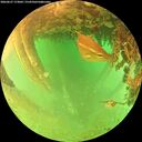 ./images/calvert/underwater/20260627/underwater20260627_173002M.jpg